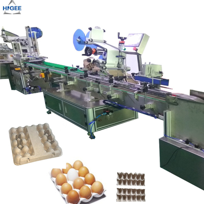 China Het kartondoos van het eidienblad etiketteringsmachine met ei plastic dozen, vlakke etiketteringsmachine met van het de doosei van de eierenbeschermer het zanddoos leverancier